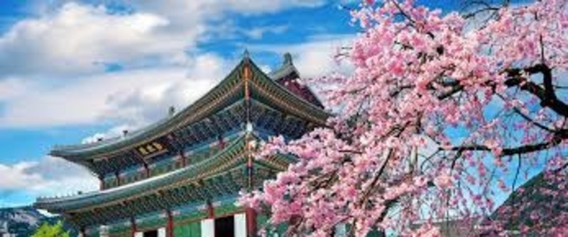 Điều Kiện Du Học Tiếng Hàn Quốc
