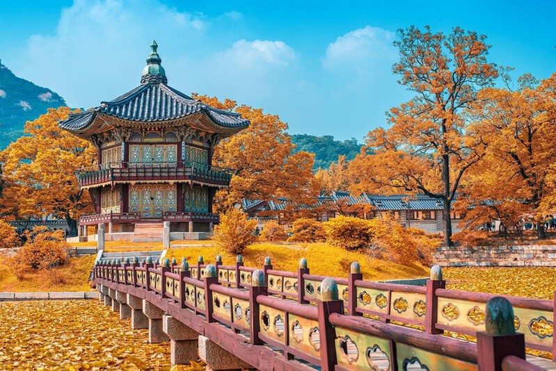 Những lý do khiến du học Hàn Quốc trở thành lựa chọn hàng đầu
